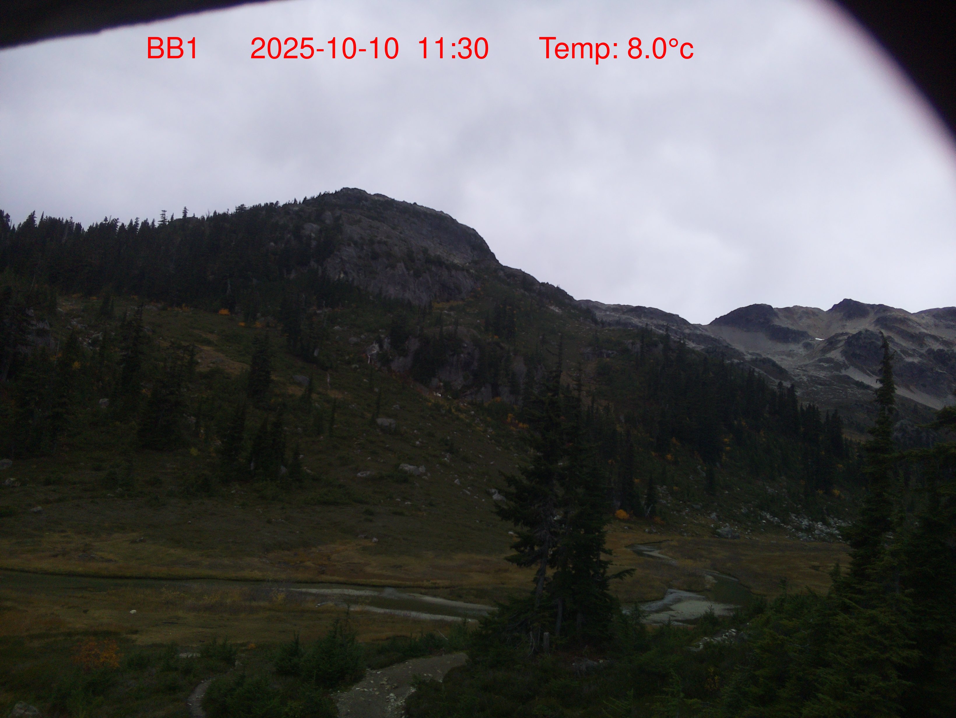 Brandywine Bowl Webcam